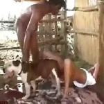 Zoofilia Brasil Agosto de 2025