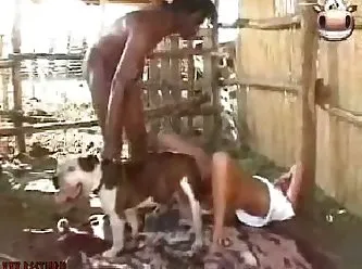 Zoofilia Brasil Agosto de 2025