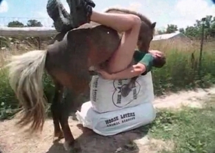 Gay Porno Zoofilia